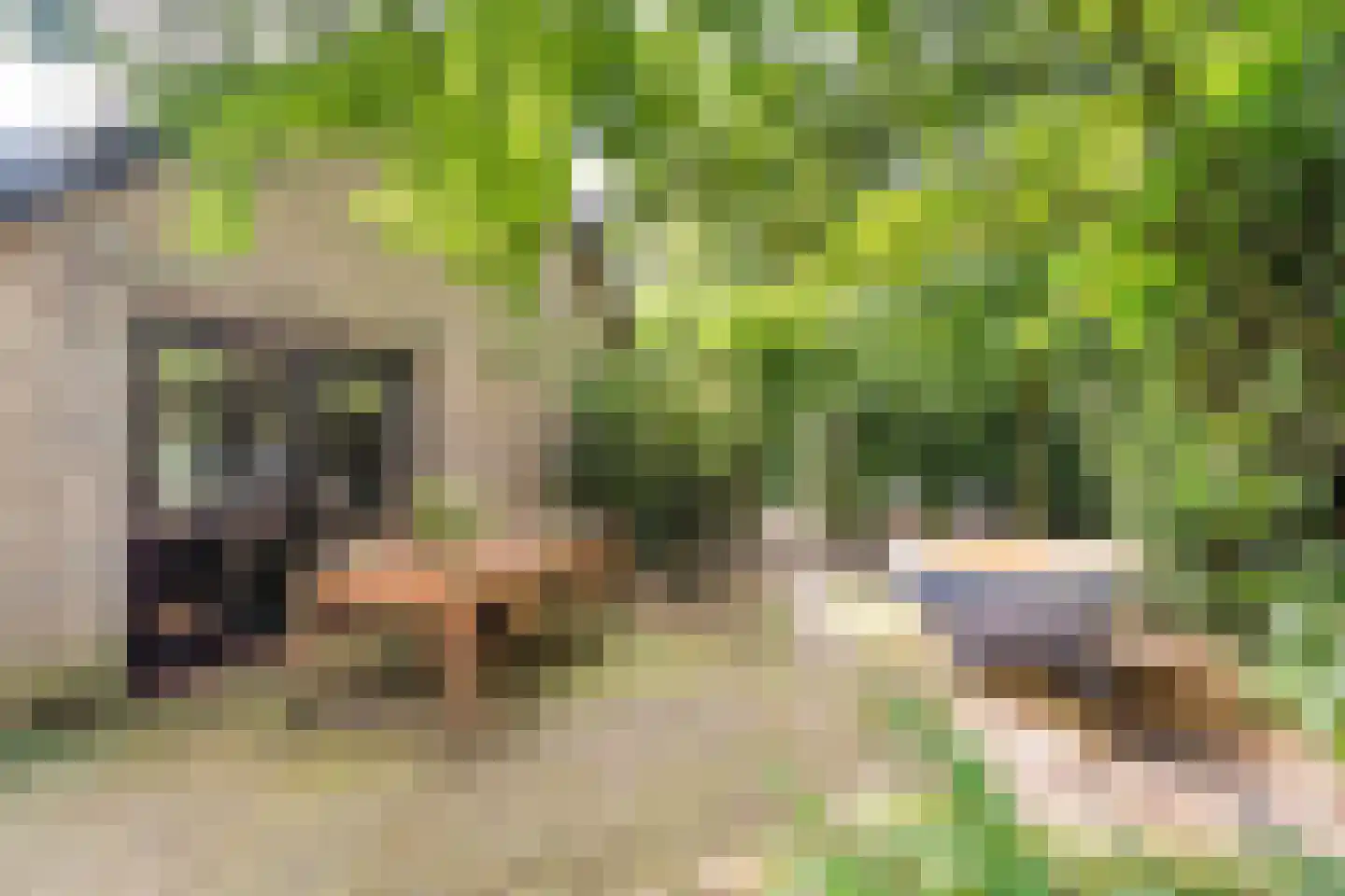 Hoenderloseweg 42 Ugchelen thumbnail 27