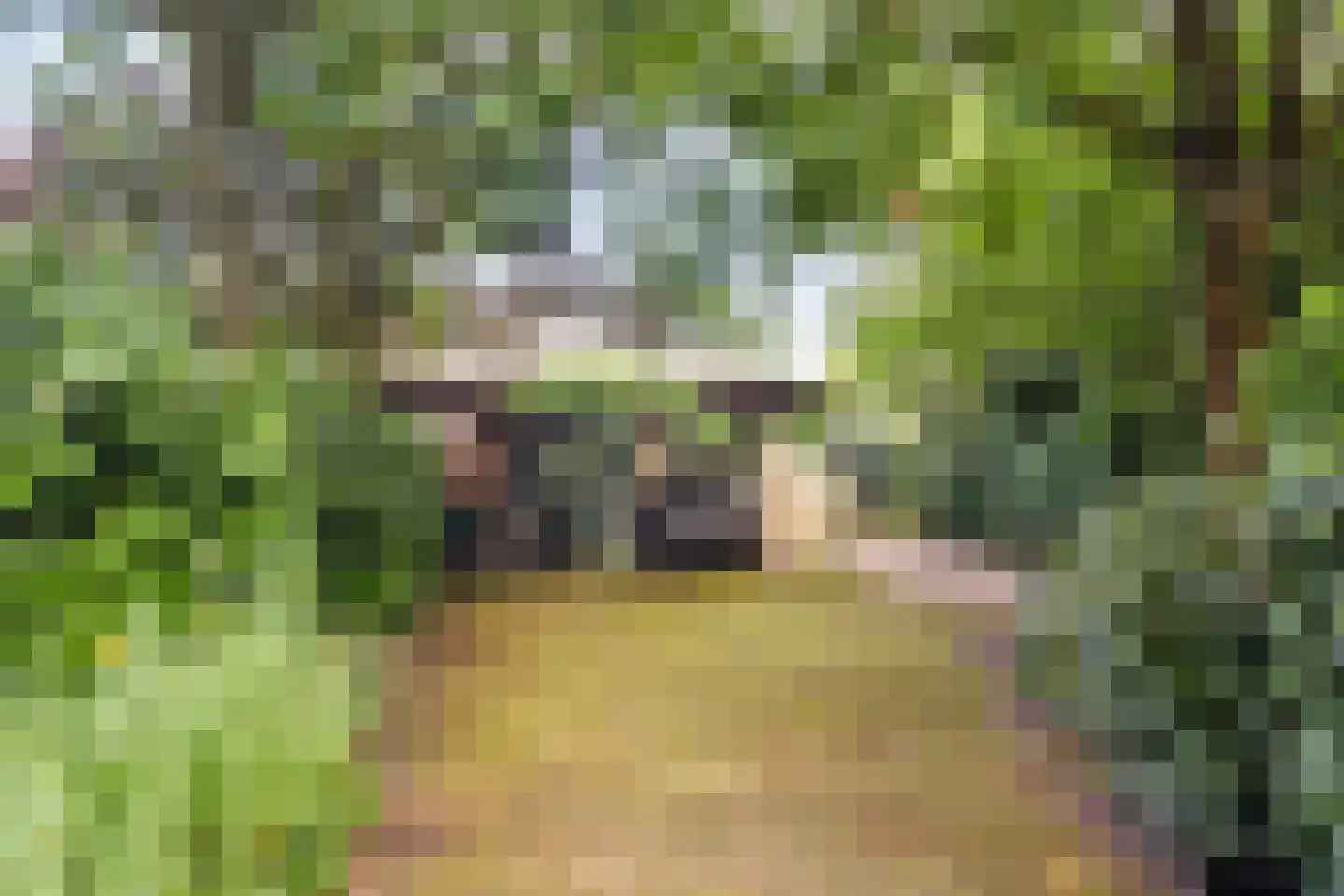 Hoenderloseweg 42 Ugchelen thumbnail 28