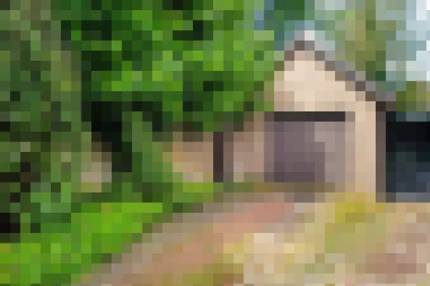 Hoenderloseweg 42 Ugchelen thumbnail 30