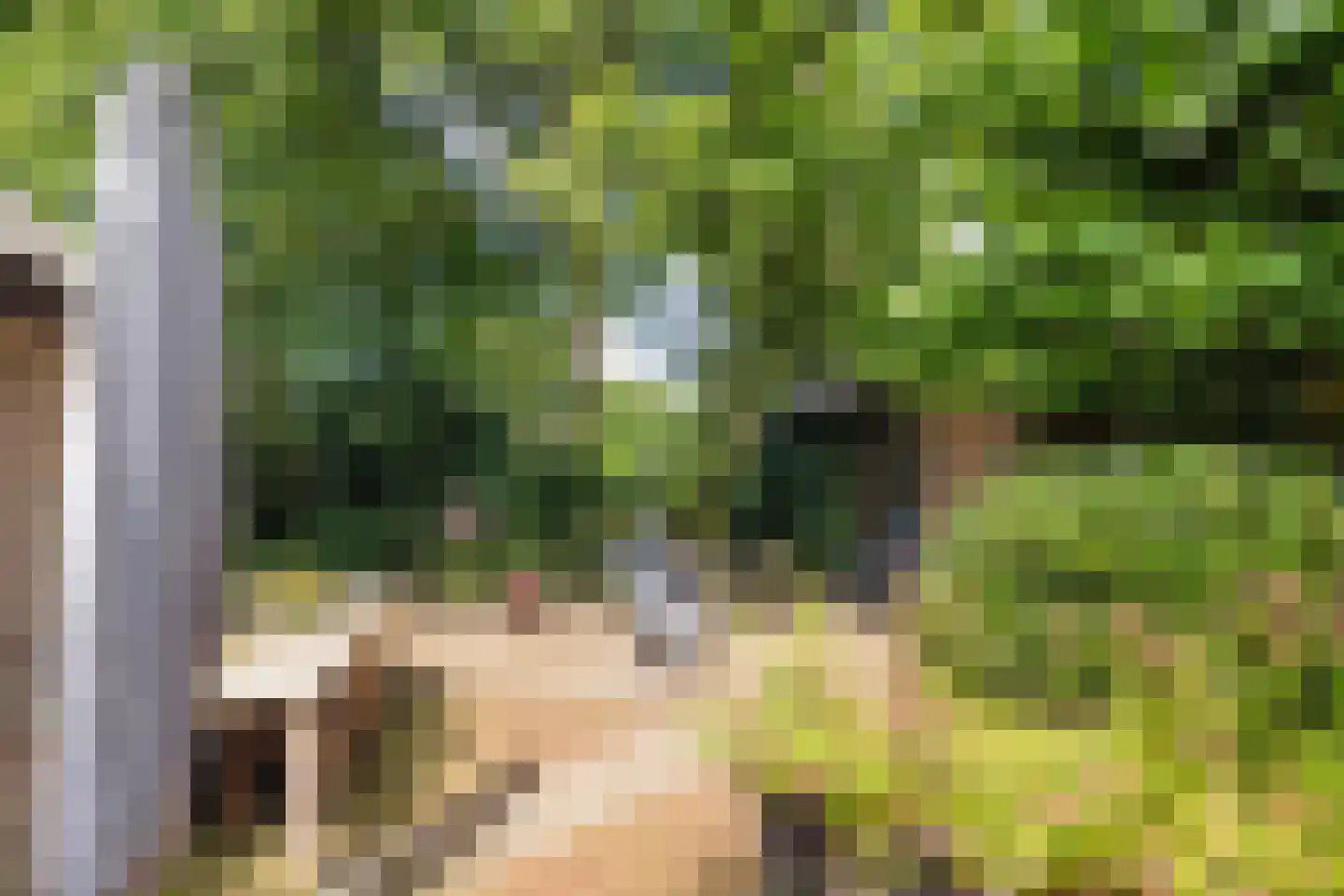 Hoenderloseweg 42 Ugchelen thumbnail 31