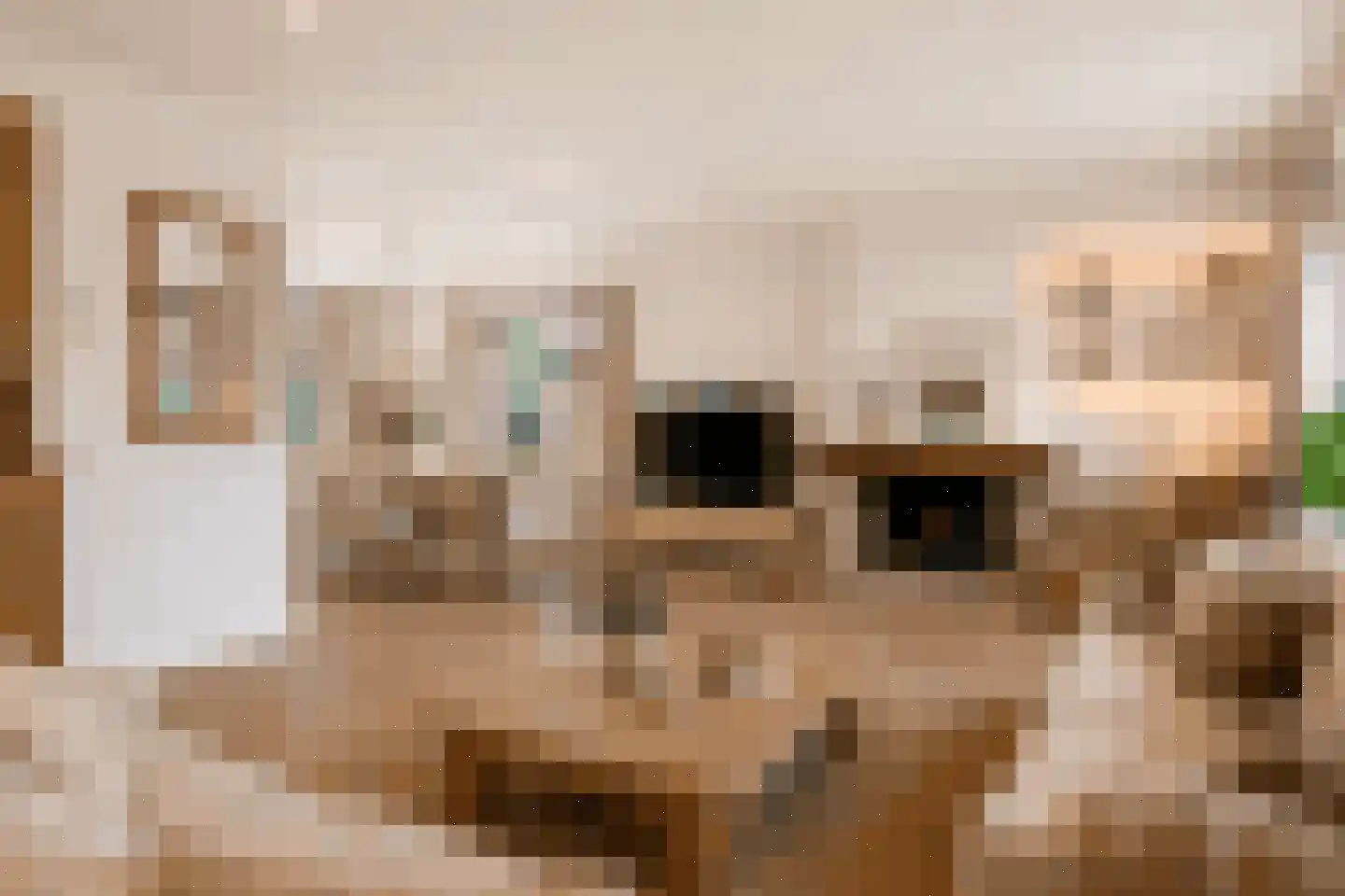 Hoenderloseweg 42 Ugchelen thumbnail 4