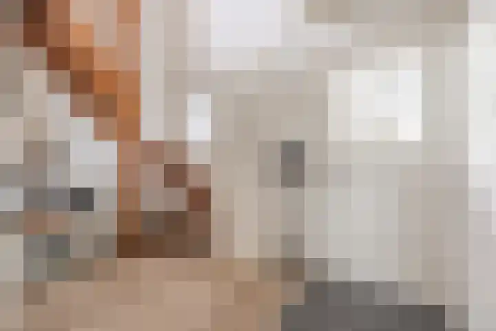 Hoenderparkdreef 12 Bosschenhoofd thumbnail 20