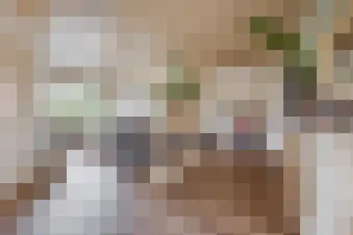 Hoenderparkdreef 12 Bosschenhoofd thumbnail 21