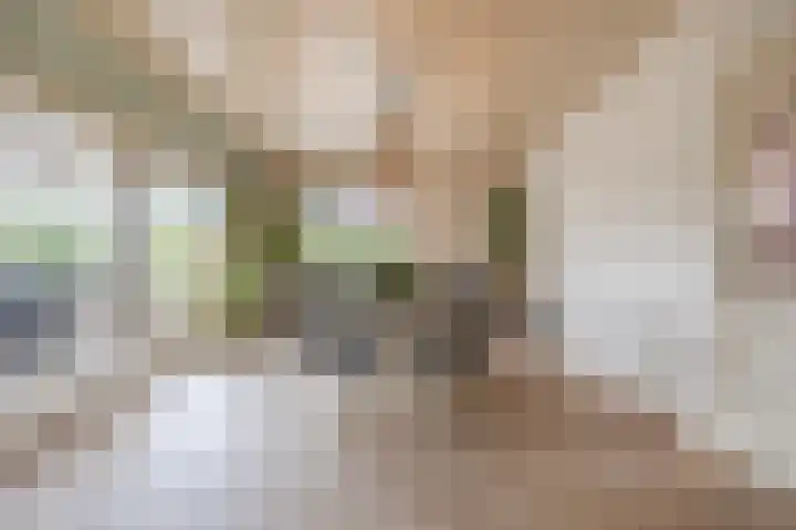 Hoenderparkdreef 12 Bosschenhoofd thumbnail 27