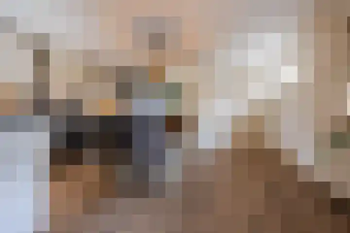 Hoenderparkdreef 12 Bosschenhoofd thumbnail 29