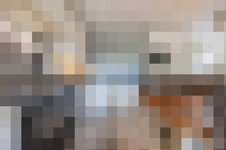 Hoenderparkdreef 12 Bosschenhoofd thumbnail 34