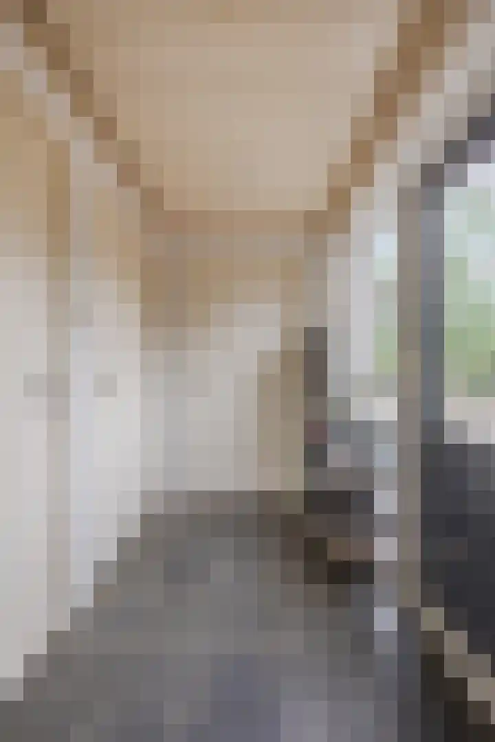 Hoenderparkdreef 12 Bosschenhoofd thumbnail 36
