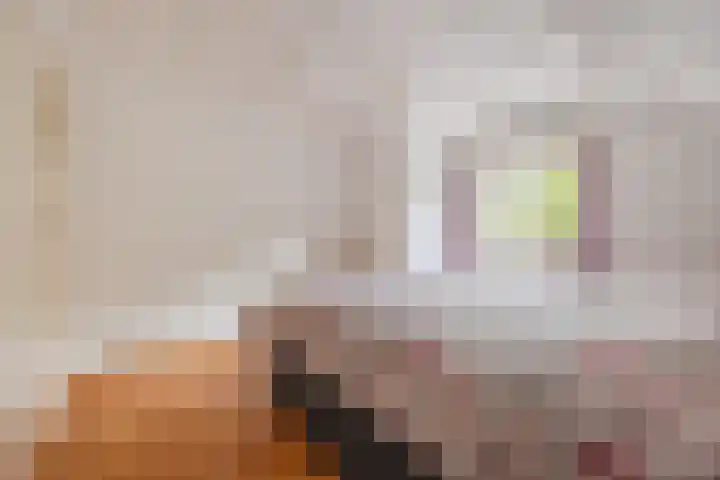 Hoenderparkdreef 12 Bosschenhoofd thumbnail 45