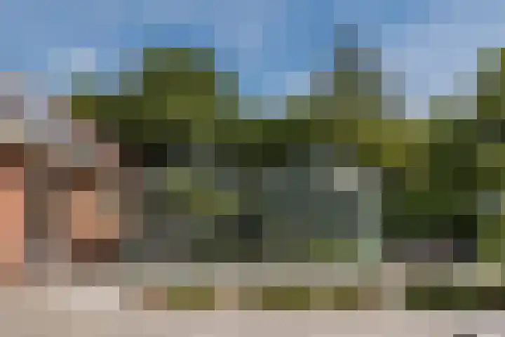 Hoenderparkdreef 12 Bosschenhoofd thumbnail 60