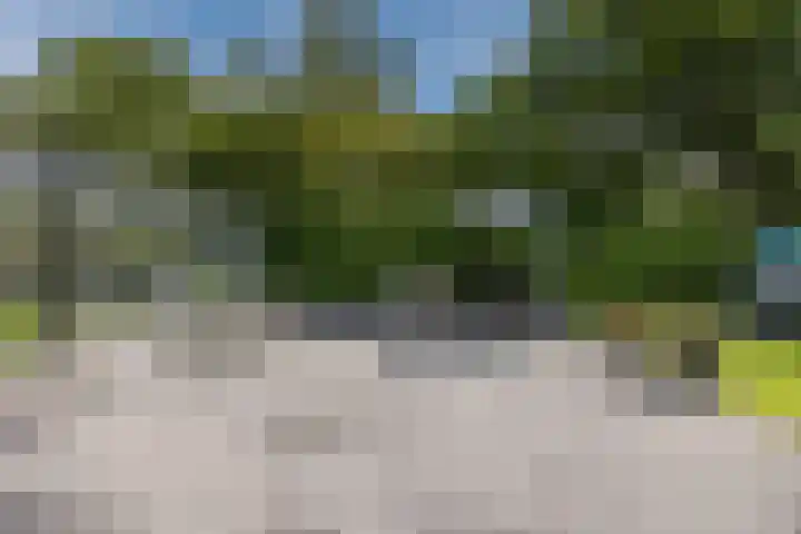 Hoenderparkdreef 12 Bosschenhoofd thumbnail 61
