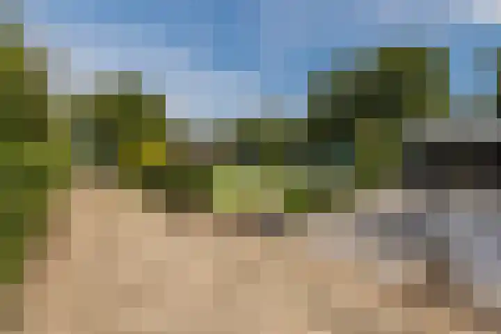 Hoenderparkdreef 12 Bosschenhoofd thumbnail 64