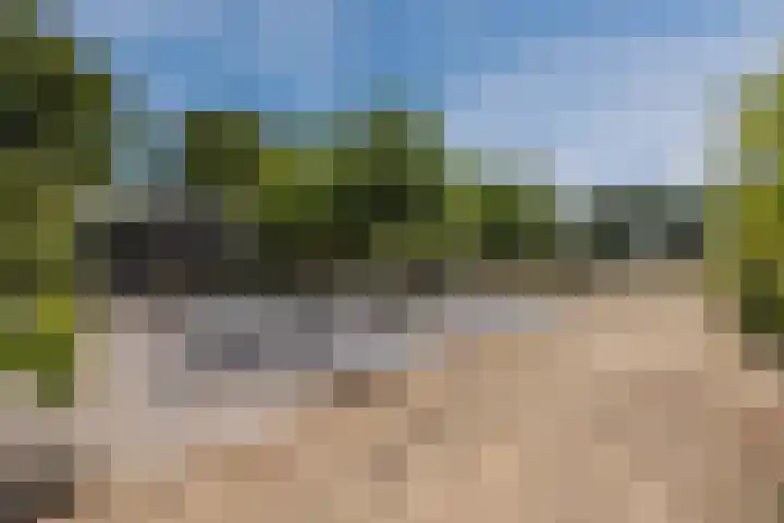 Hoenderparkdreef 12 Bosschenhoofd thumbnail 66