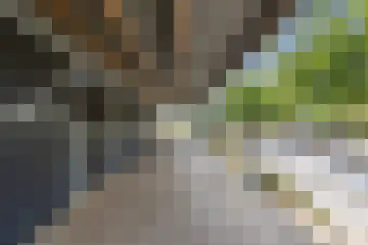 Hoenderparkdreef 12 Bosschenhoofd thumbnail 69