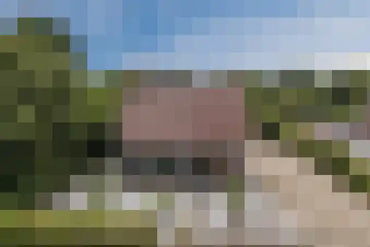 Hoenderparkdreef 12 Bosschenhoofd thumbnail 7
