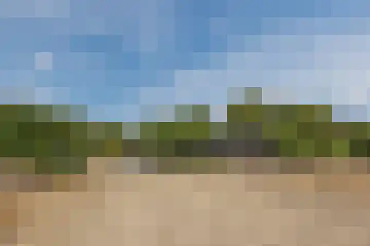 Hoenderparkdreef 12 Bosschenhoofd thumbnail 71