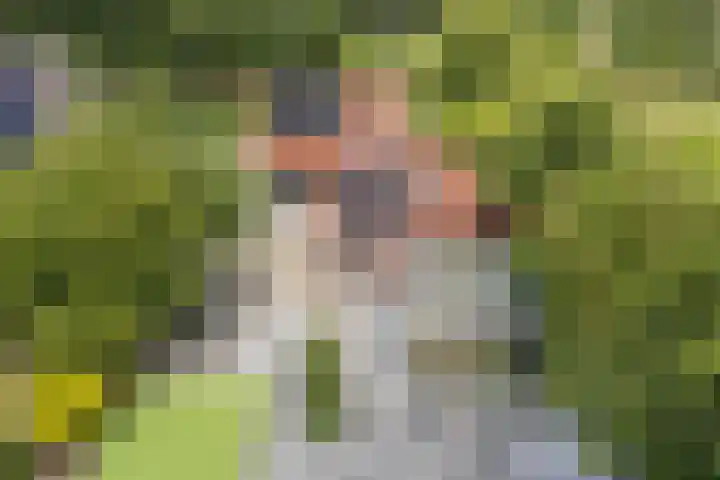 Hoenderparkdreef 12 Bosschenhoofd thumbnail 73