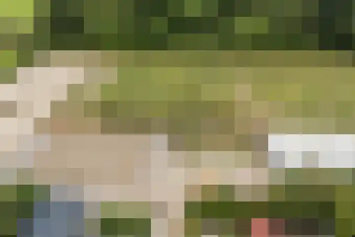 Hoenderparkdreef 12 Bosschenhoofd thumbnail 76