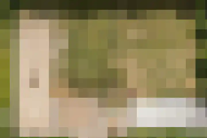 Hoenderparkdreef 12 Bosschenhoofd thumbnail 79