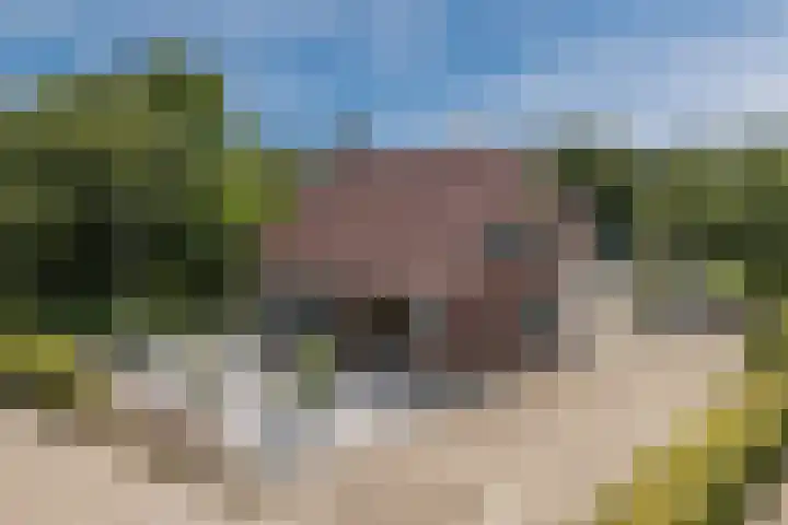 Hoenderparkdreef 12 Bosschenhoofd thumbnail 8