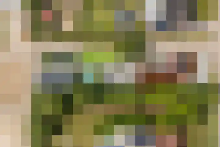 Hoenderparkdreef 12 Bosschenhoofd thumbnail 80