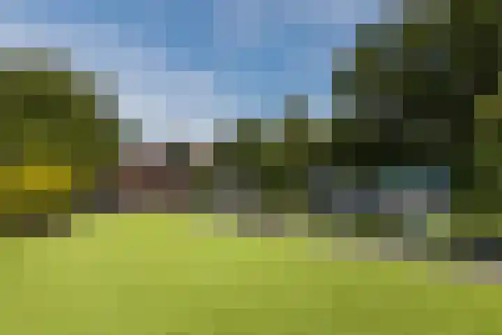 Hoenderparkdreef 12 Bosschenhoofd thumbnail 82