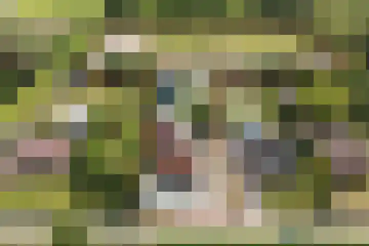 Hoenderparkdreef 12 Bosschenhoofd thumbnail 90