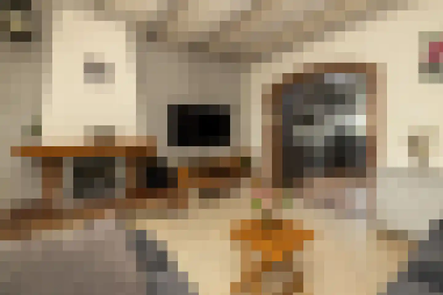 Hoenderparklaan 102 Kwintsheul thumbnail 10