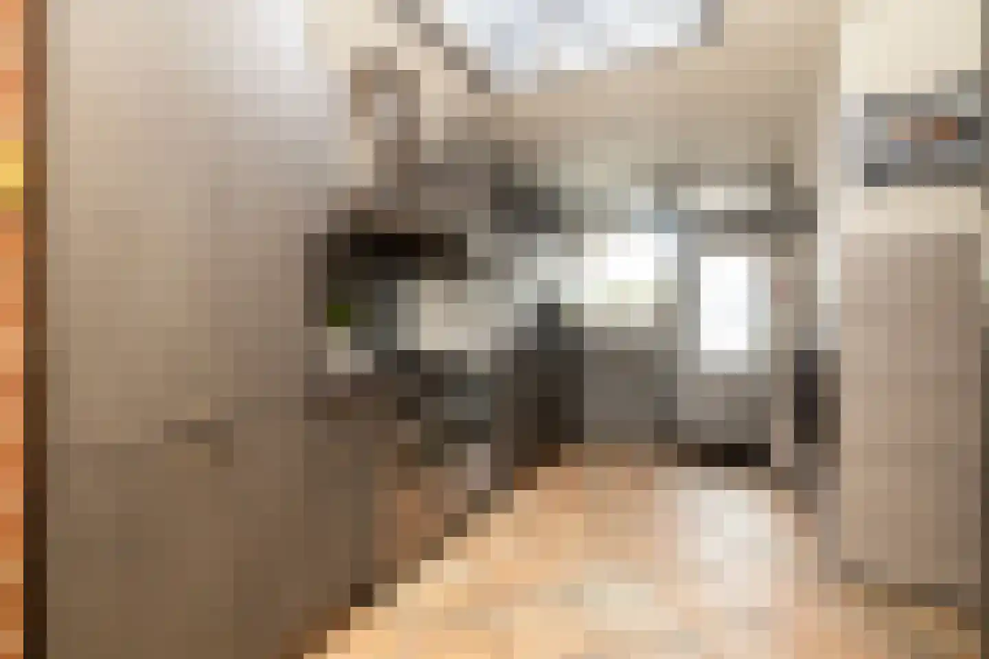 Hoenderparklaan 102 Kwintsheul thumbnail 11