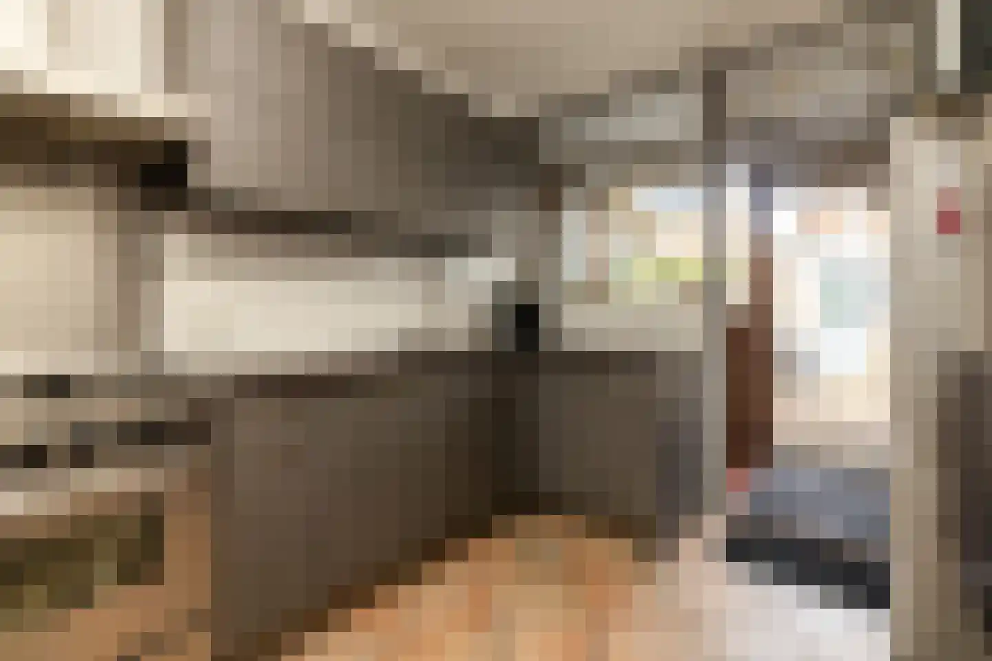 Hoenderparklaan 102 Kwintsheul thumbnail 15