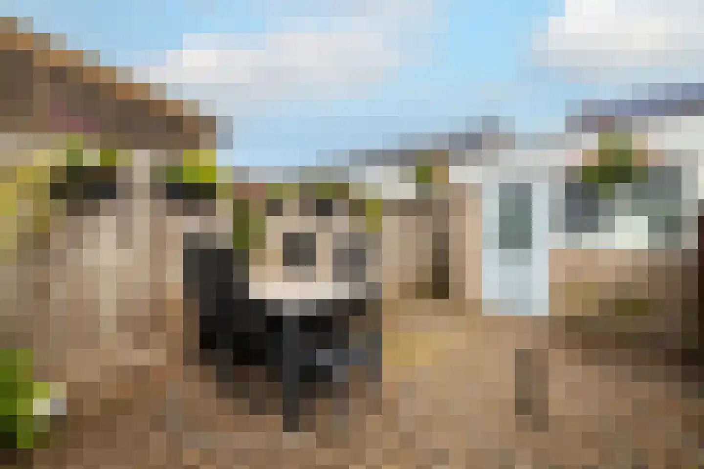 Hoenderparklaan 102 Kwintsheul thumbnail 18
