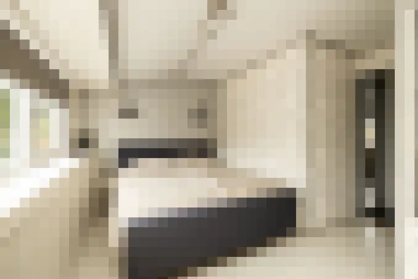 Hoenderparklaan 102 Kwintsheul thumbnail 26