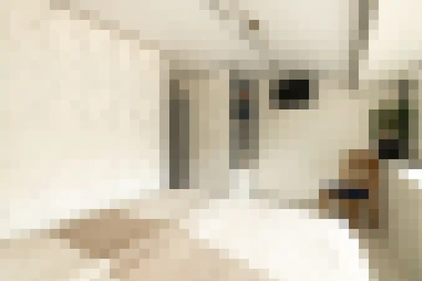 Hoenderparklaan 102 Kwintsheul thumbnail 28