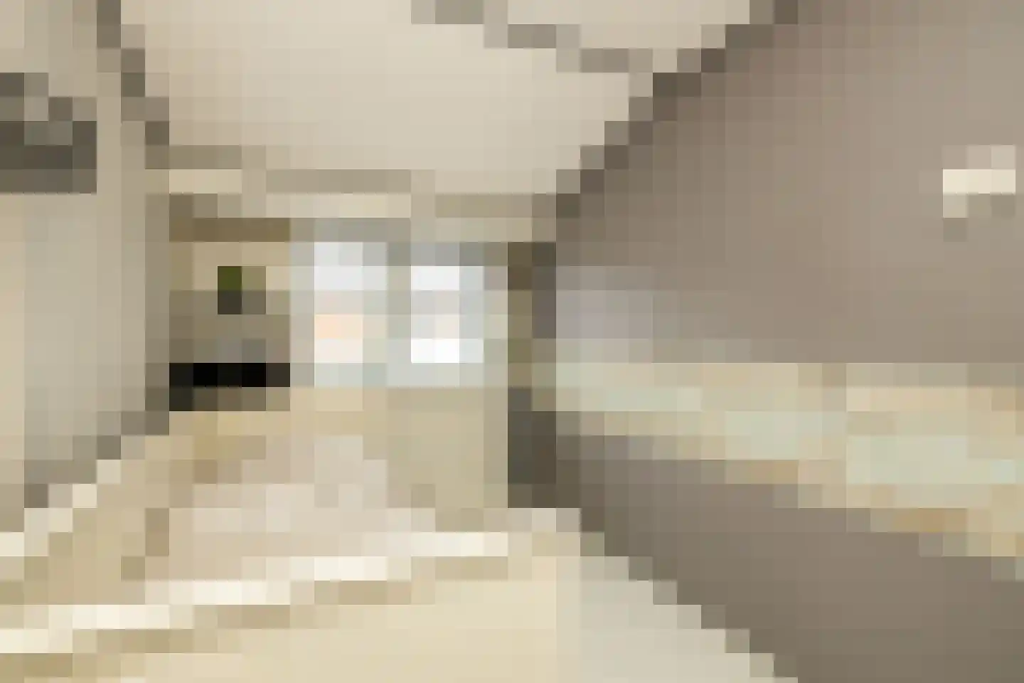 Hoenderparklaan 102 Kwintsheul thumbnail 30