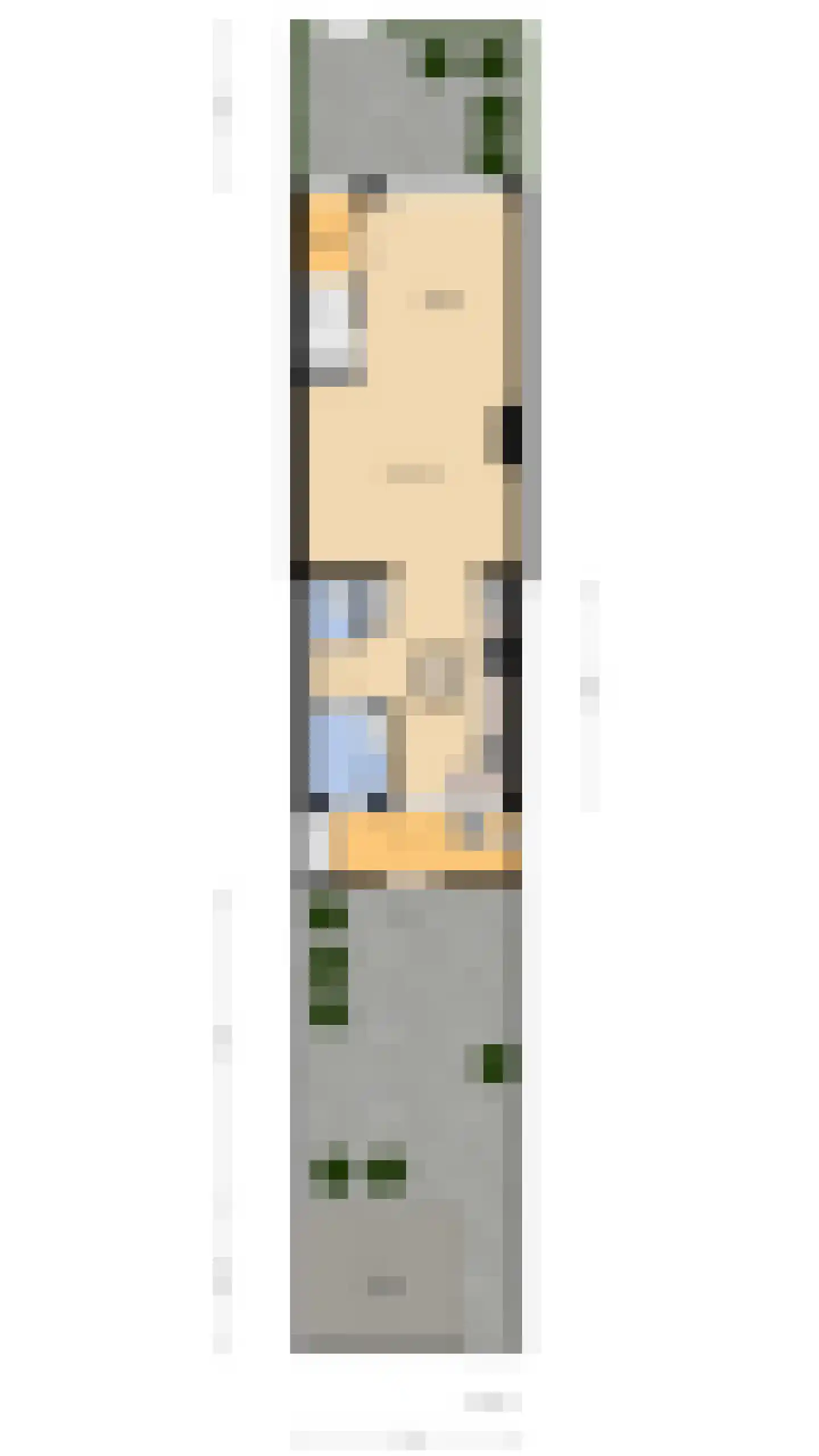 Hoenderparklaan 102 Kwintsheul thumbnail 42