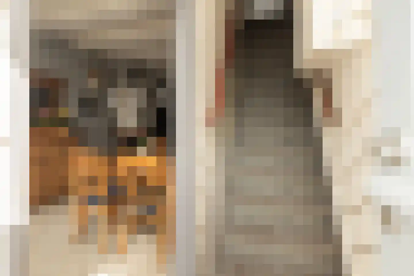 Hoenderparklaan 102 Kwintsheul thumbnail 6