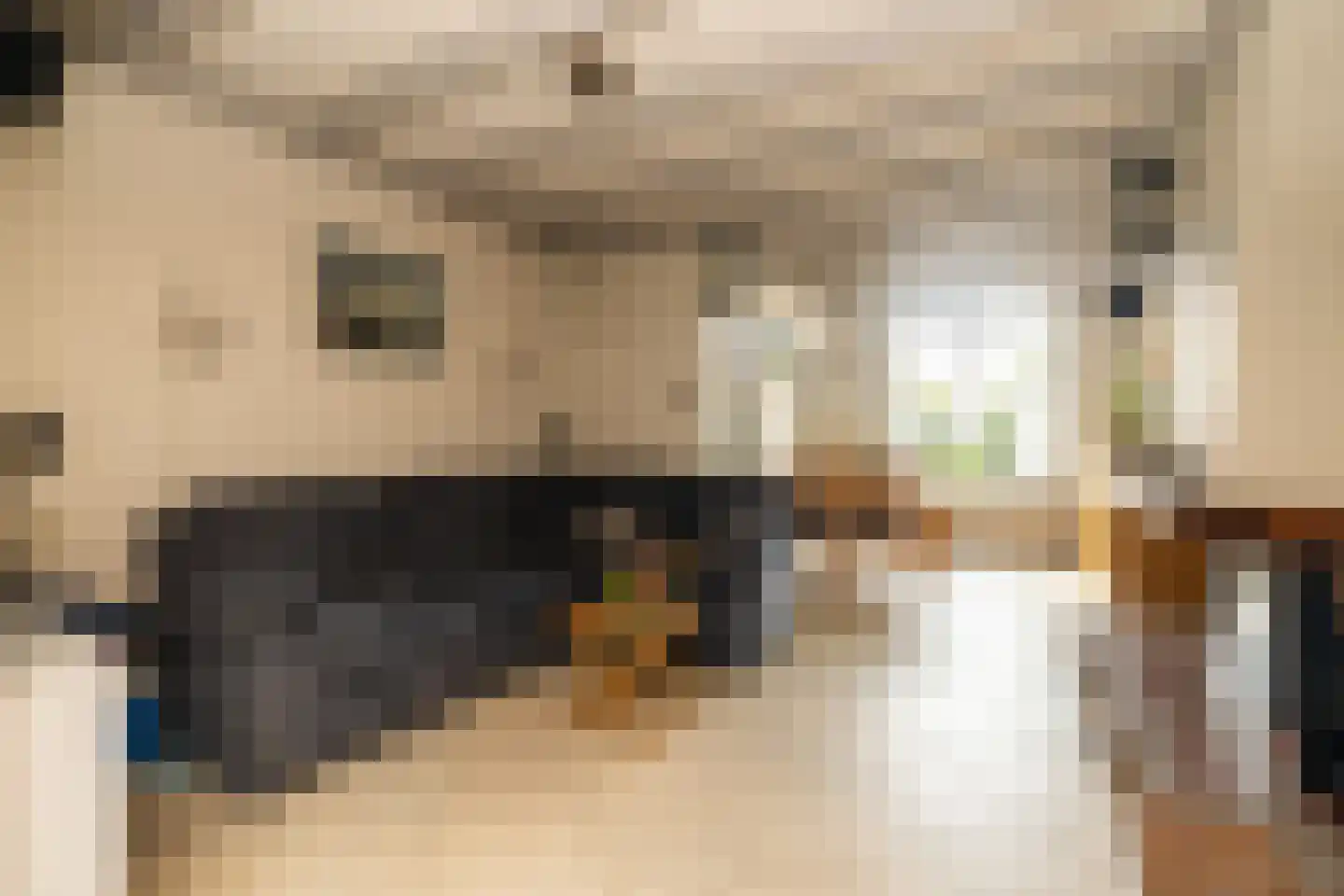 Hoenderparklaan 102 Kwintsheul thumbnail 8
