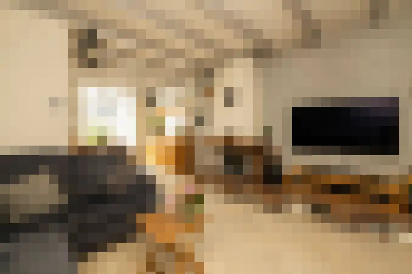 Hoenderparklaan 102 Kwintsheul thumbnail 9