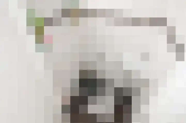 Hoenderparklaan 34 Kwintsheul thumbnail 17