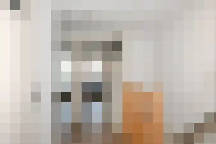Hoenderparklaan 34 Kwintsheul thumbnail 22