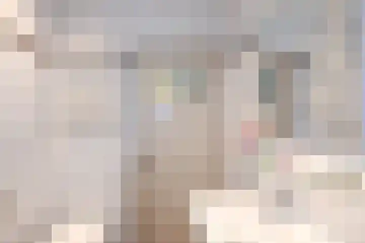 Hoenderparklaan 34 Kwintsheul thumbnail 27