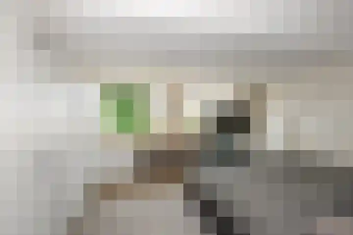 Hoenderparklaan 34 Kwintsheul thumbnail 29