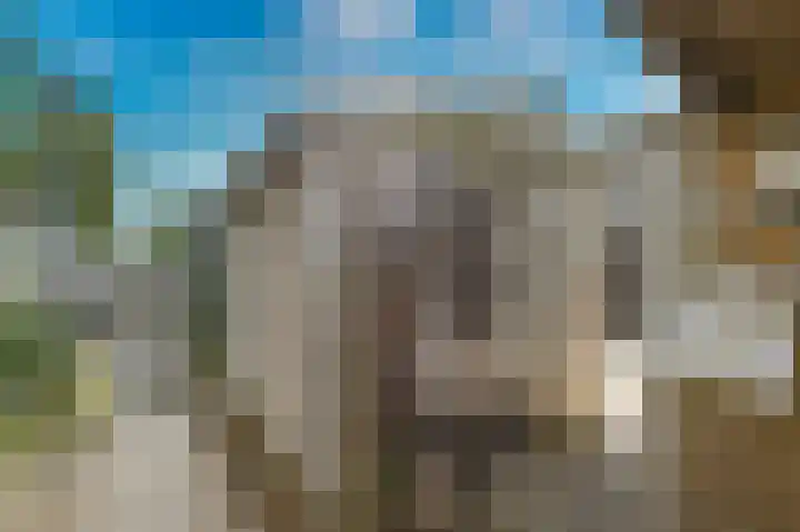Hoenderparklaan 34 Kwintsheul thumbnail 38