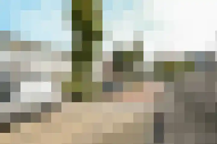Hoenderparklaan 34 Kwintsheul thumbnail 39