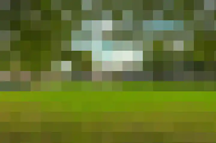 Hoenderparklaan 34 Kwintsheul thumbnail 41