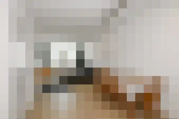 Hoenderparklaan 34 Kwintsheul thumbnail 7