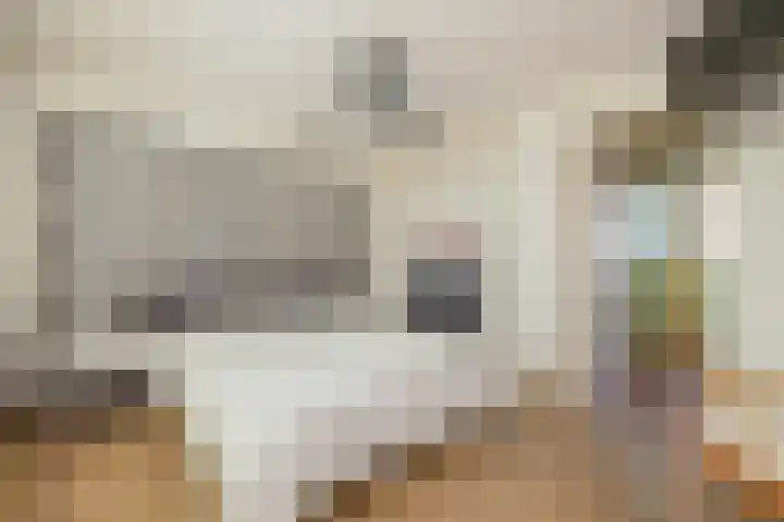 Hoenderparklaan 86 Kwintsheul thumbnail 23