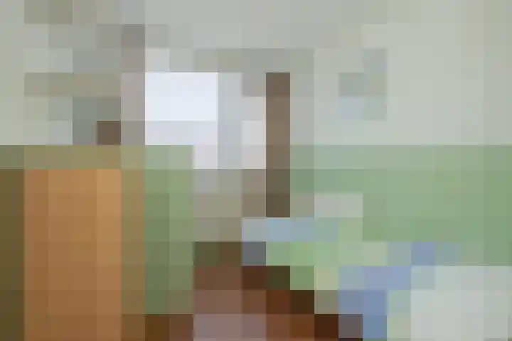 Hoenderparklaan 86 Kwintsheul thumbnail 24
