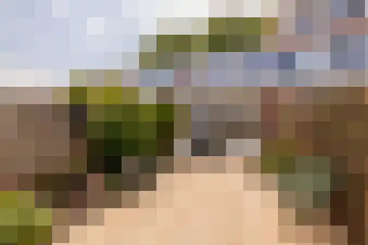 Hoenderparklaan 86 Kwintsheul thumbnail 31