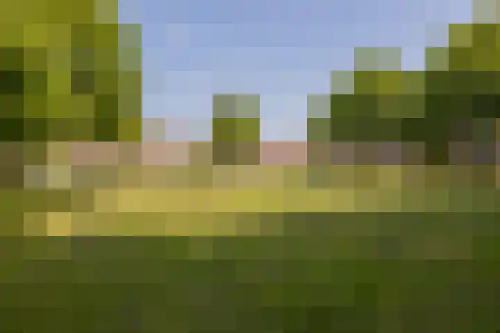 Hoenderparklaan 86 Kwintsheul thumbnail 32