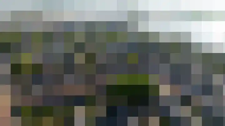Hoenderparklaan 86 Kwintsheul thumbnail 34